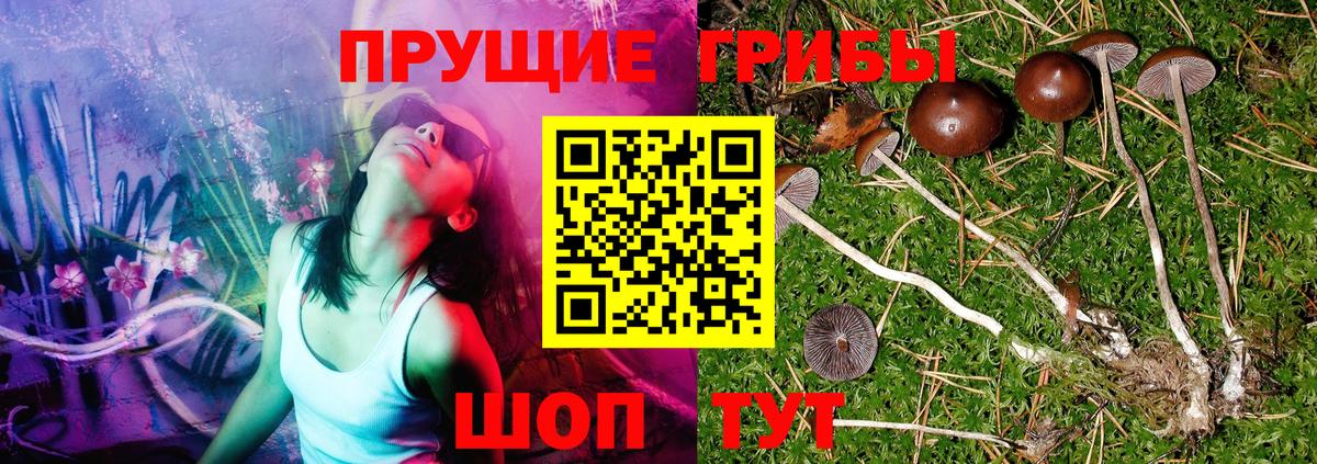 Псилоцибиновые грибы Psilocybe  Вход с VPN  Лабытнанги 