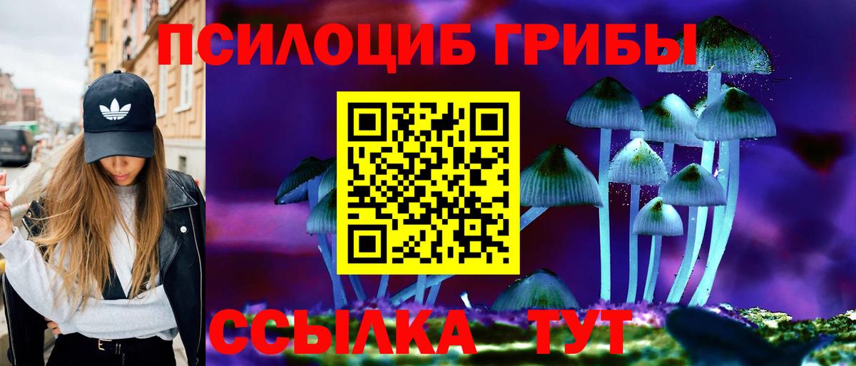 Псилоцибиновые грибы Psilocybe Лабытнанги